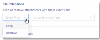028 Configuration File Extension Keep or remove.gif